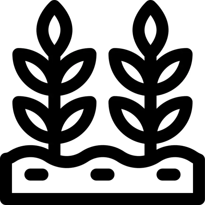 Plants