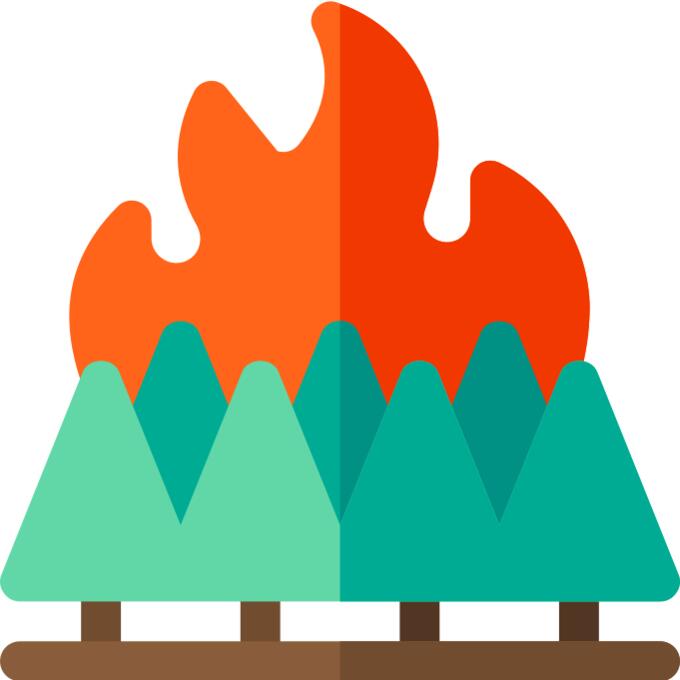 Burning