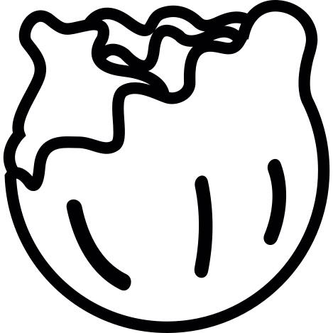 Cabbage