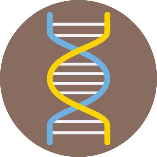 Dna