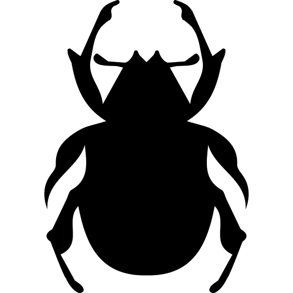 Beetle shape