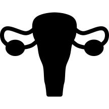 Female Reproduction System