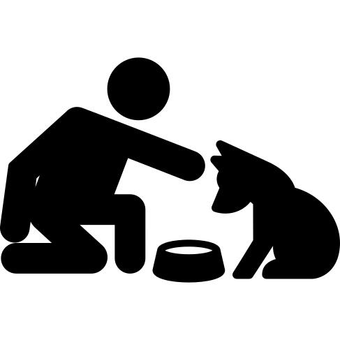 Feeding the Dog