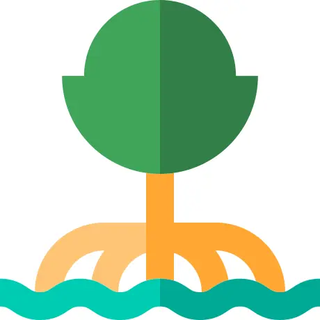 Mangrove