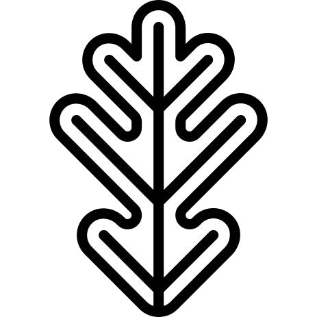 Oak
