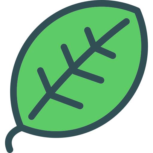 Leaf