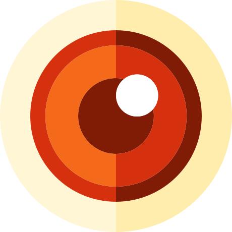 Eye