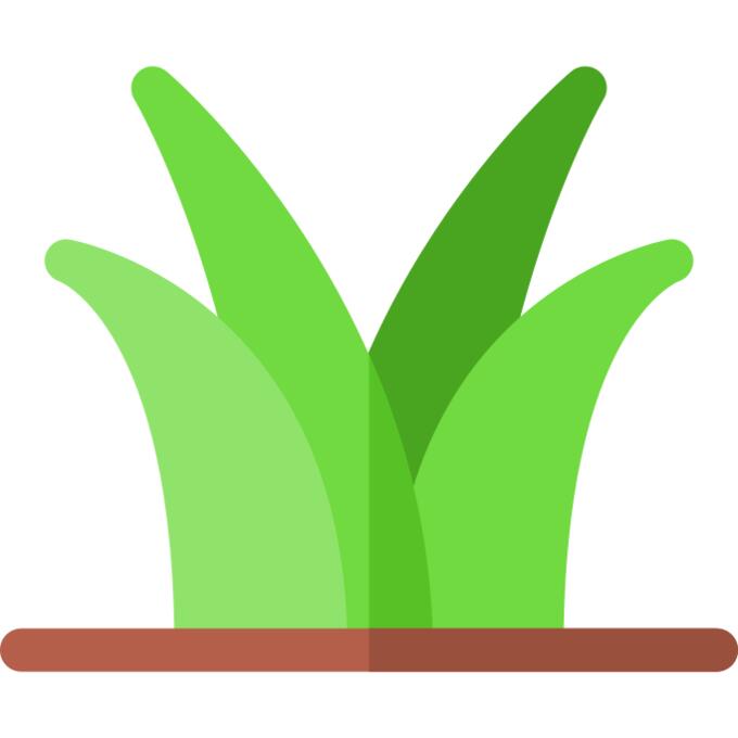 Grass