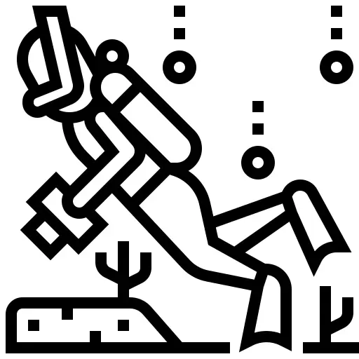 Diver