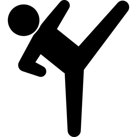 Taekwondo Kick