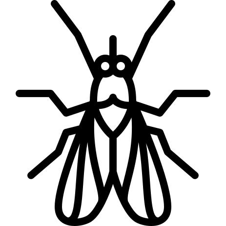 Fly