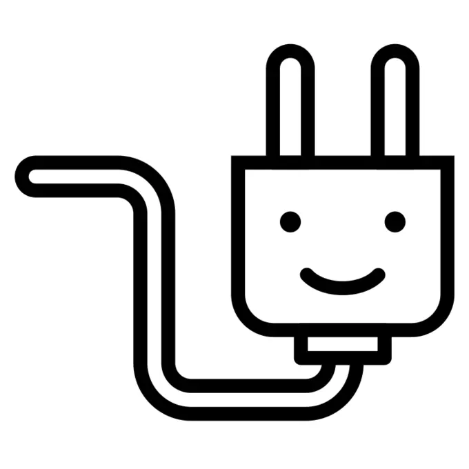 Plug