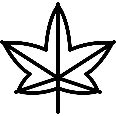 Liquidambar