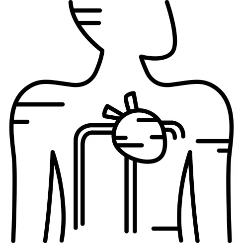 Blood Supply System