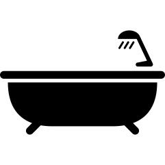 Bath tub with shower