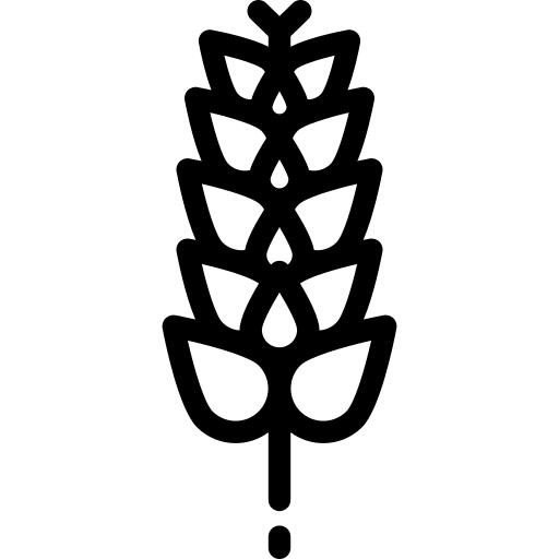 Gluten