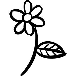 Daisy
