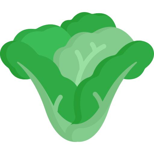 Lettuce