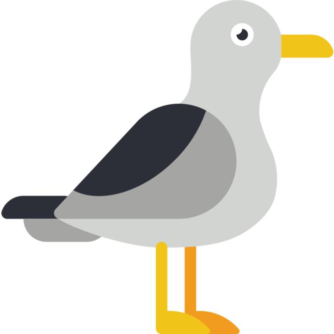 Seagull