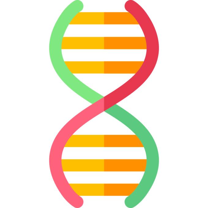 Gene