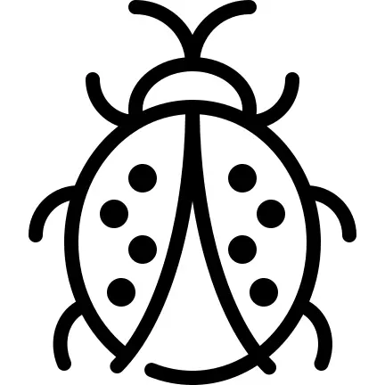 Ladybug