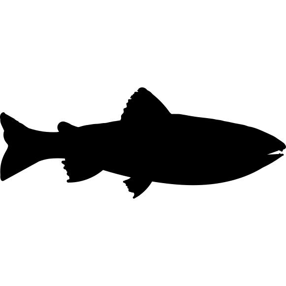 Amago fish shape