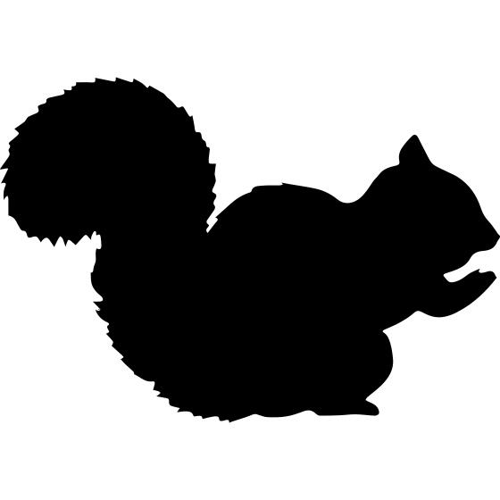 Squirrel shape