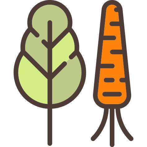 Vegetables