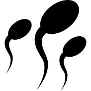 Sperms