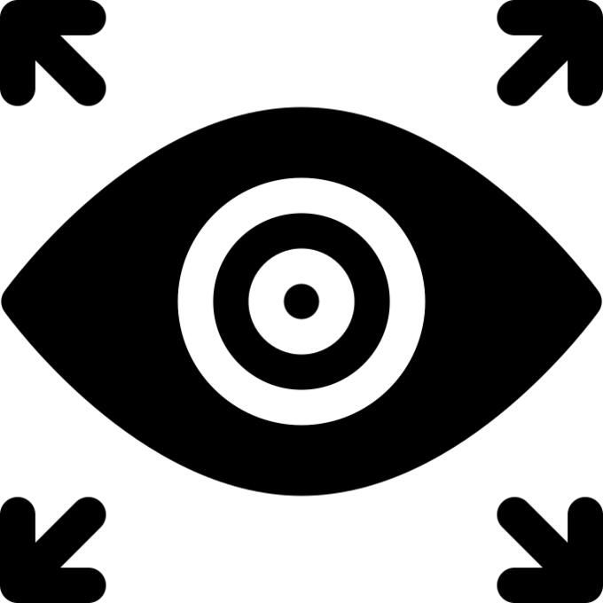Vision