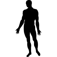 Human body standing black silhouette
