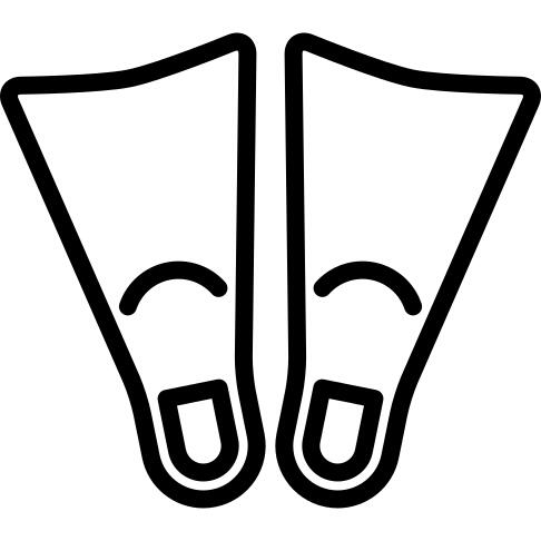 Flippers