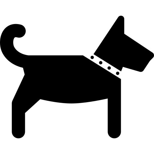 Dog side view