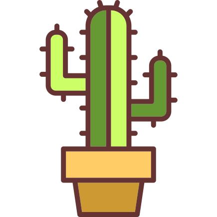 Cactus