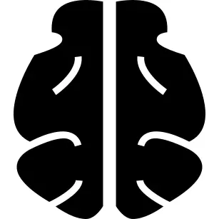 Human Brain