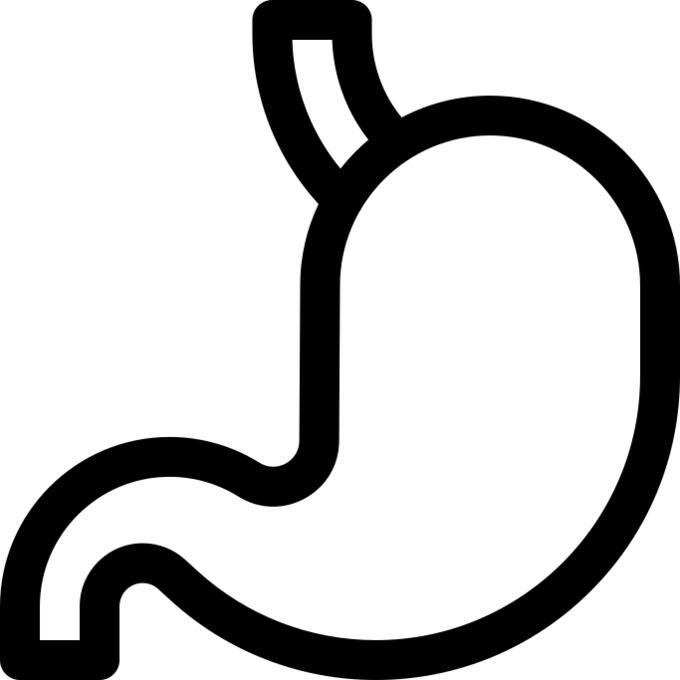 Stomach