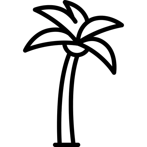 Palm tree