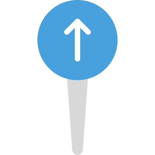 Pin
