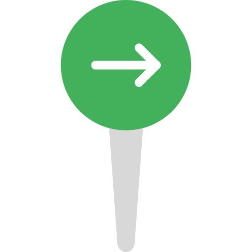 Pin
