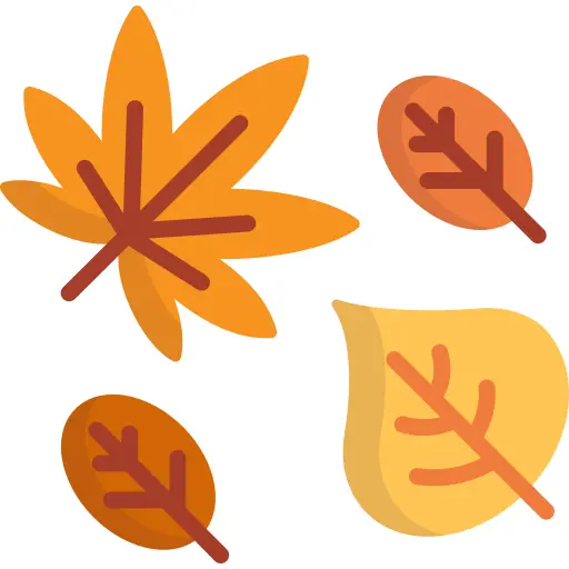 Dry leaf