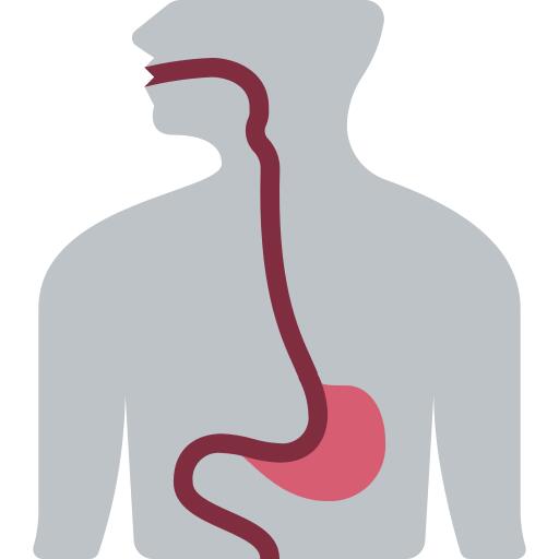 Esophagus