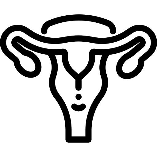 Uterus