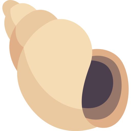 Sea snail
