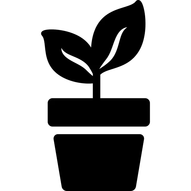 Plant Pot