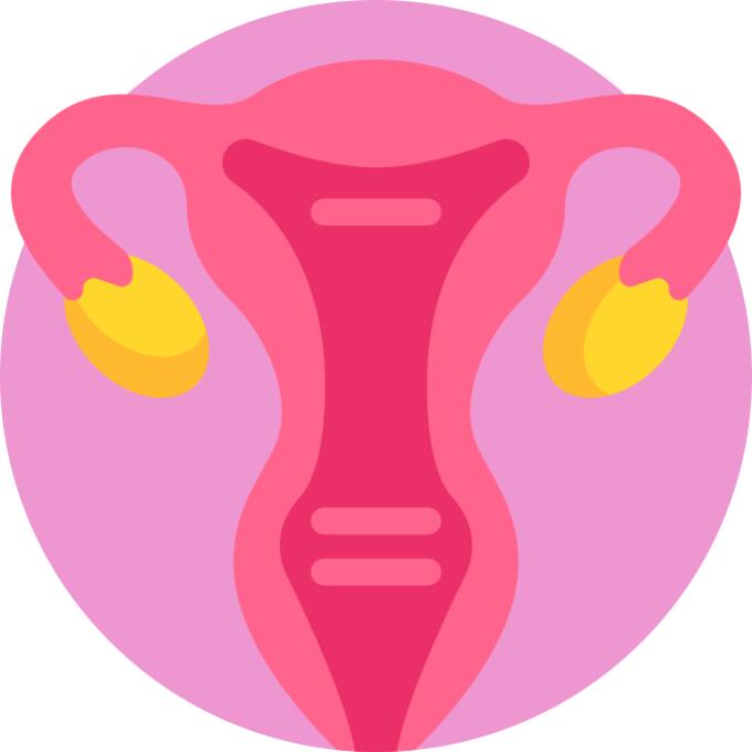 Uterus