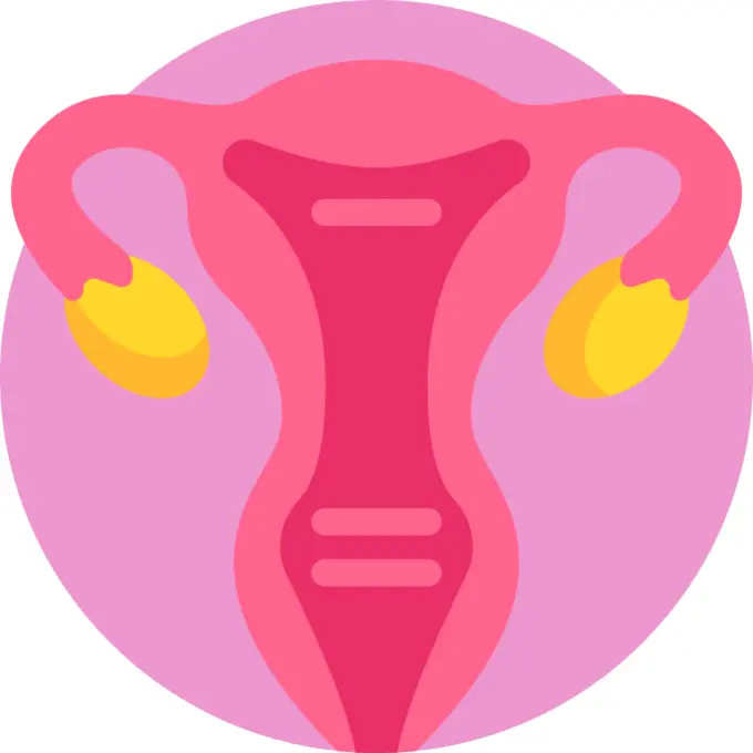 Uterus