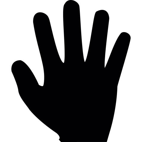 Five fingers