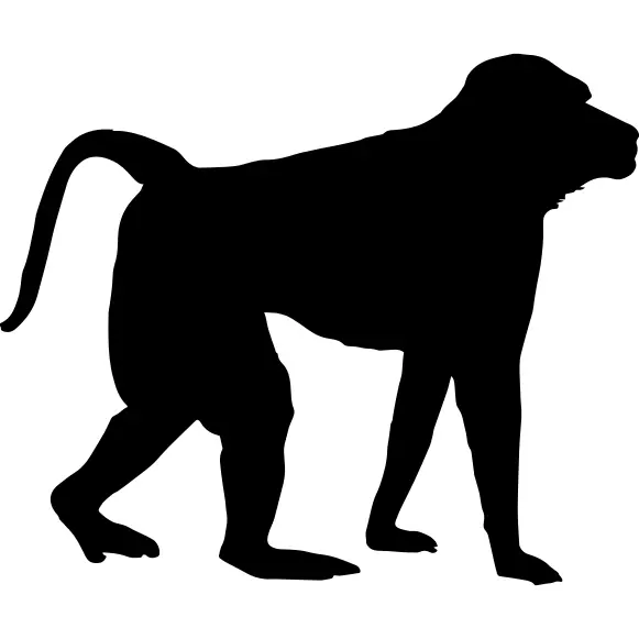 Monkey shape