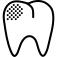 Premolar