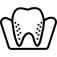 Molar